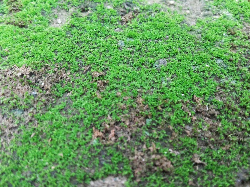 Microclimate